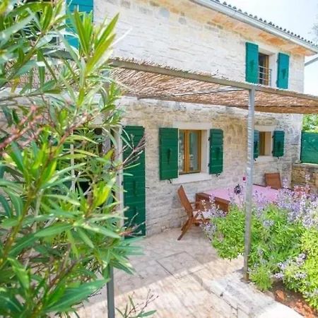 Apartman With Swimming Pool Sveti Lovrec, Istria - Sredisnja Istra - 24928